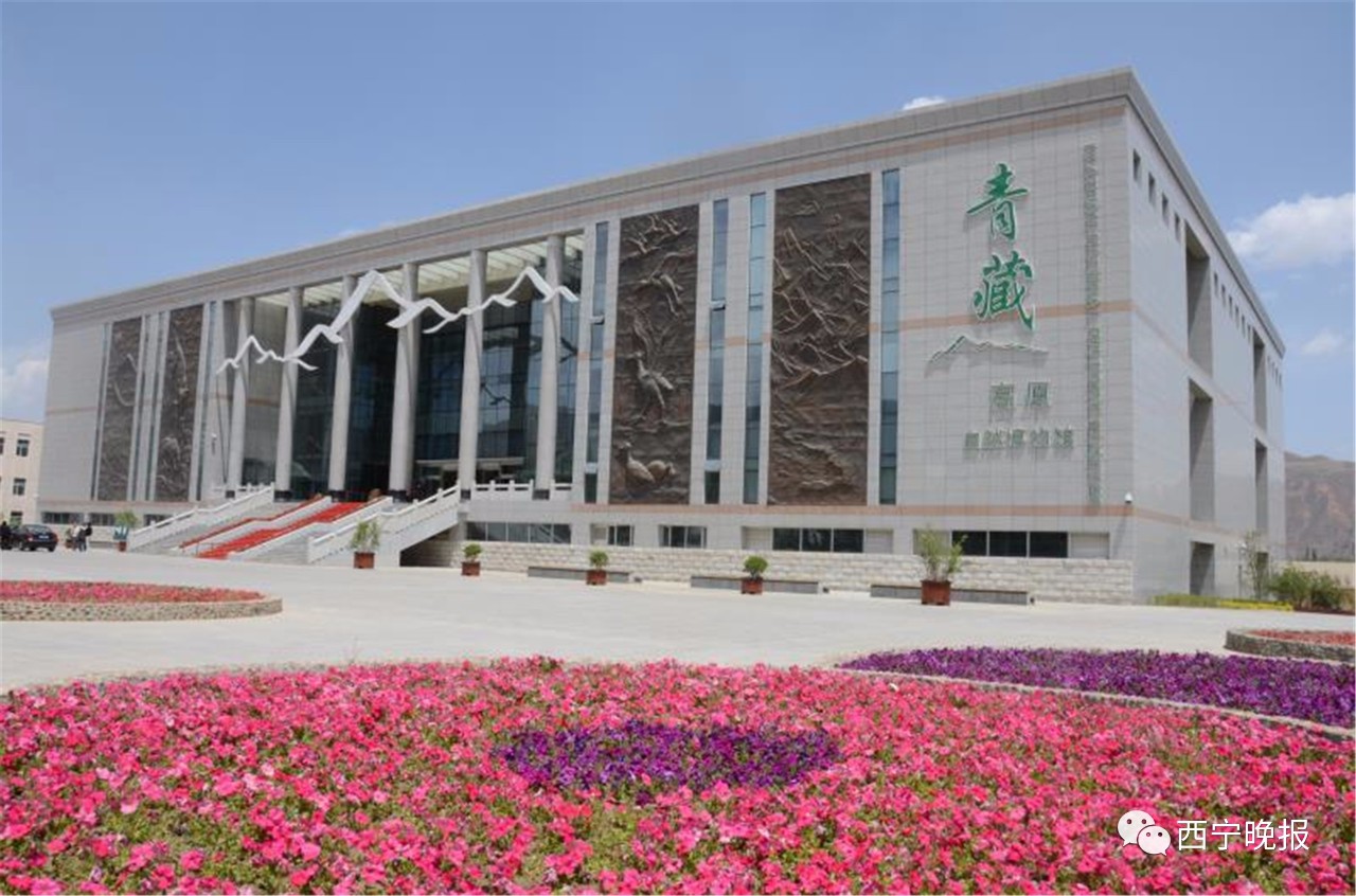 青海昆仑玉文化博物馆青海藏文化博物院