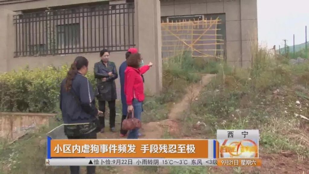 令人发指西宁一小区虐狗事件频发呼吁不爱请别伤害