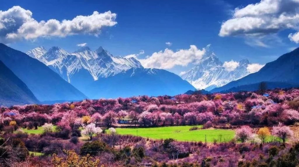 西藏这处秘境即将美醉成仙，风景秒杀瑞士，全部景区免费开放！
