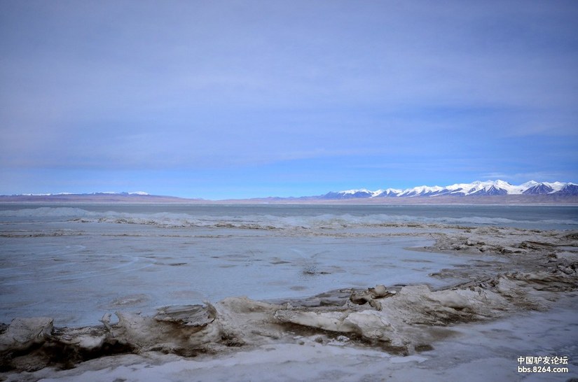 青海大环线之冰雪世界。（八一冰川，哈拉湖，情人湖，外星人基地）