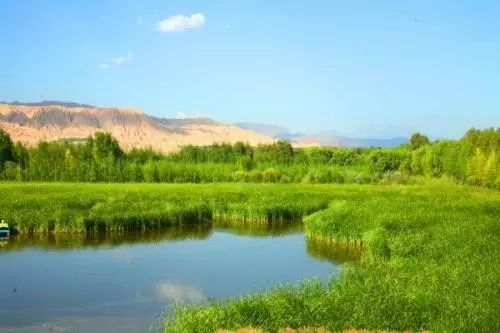赶紧收藏！青海这19个国家级湿地公园简直美翻了，一键开启完美假期！