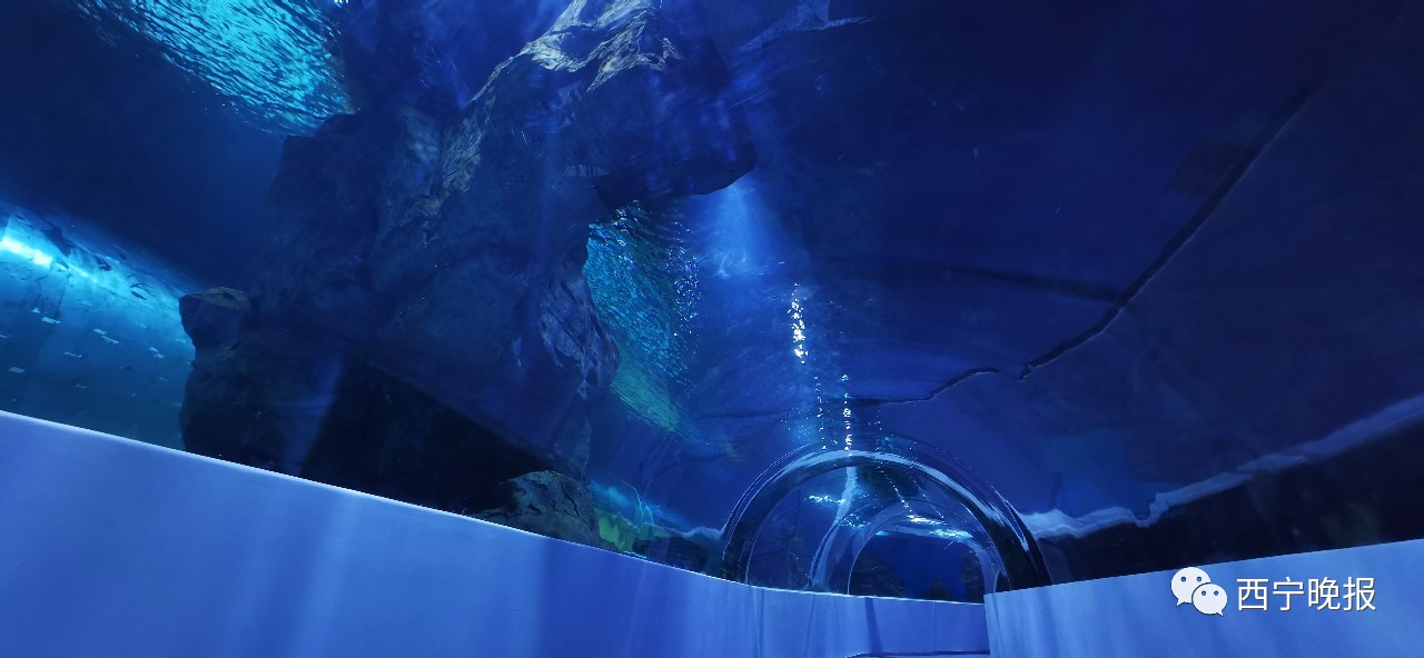梦幻！西宁有了第一条海底隧道，看看在哪？
