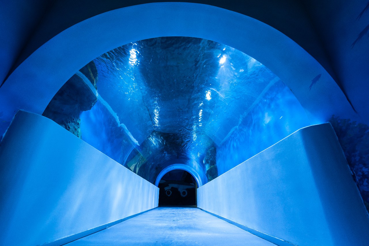 梦幻！西宁有了第一条海底隧道，看看在哪？
