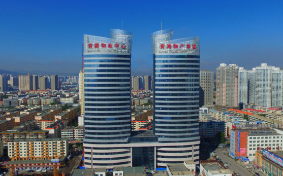 青海4家企业入围“中国500强”等榜单