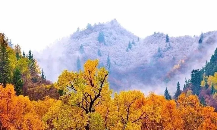 错峰旅行，秋天的青海更是一步一景