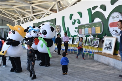 国庆期间5万游客畅游西宁熊猫馆