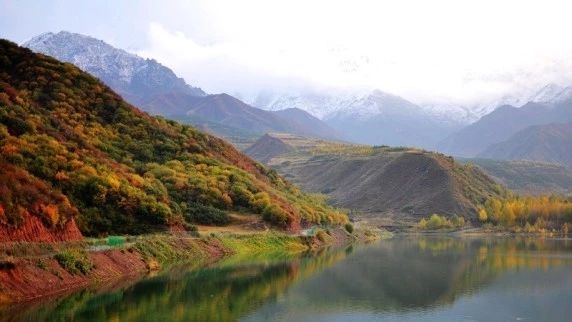 青海87个村有望成为国家森林乡村，湟中最多...