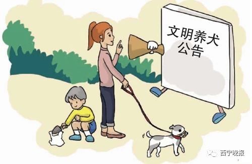 每户限养一只犬…西宁将依法规范养犬行为
