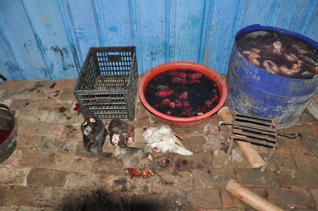 2000公斤！青海两人售卖死因不明牛羊肉被抓