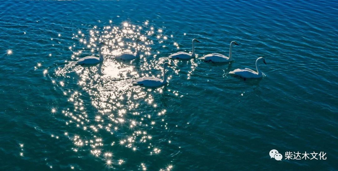 德令哈托素湖出现国内罕见景象！