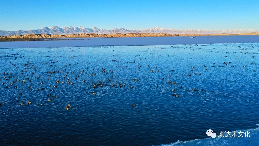 德令哈托素湖出现国内罕见景象！