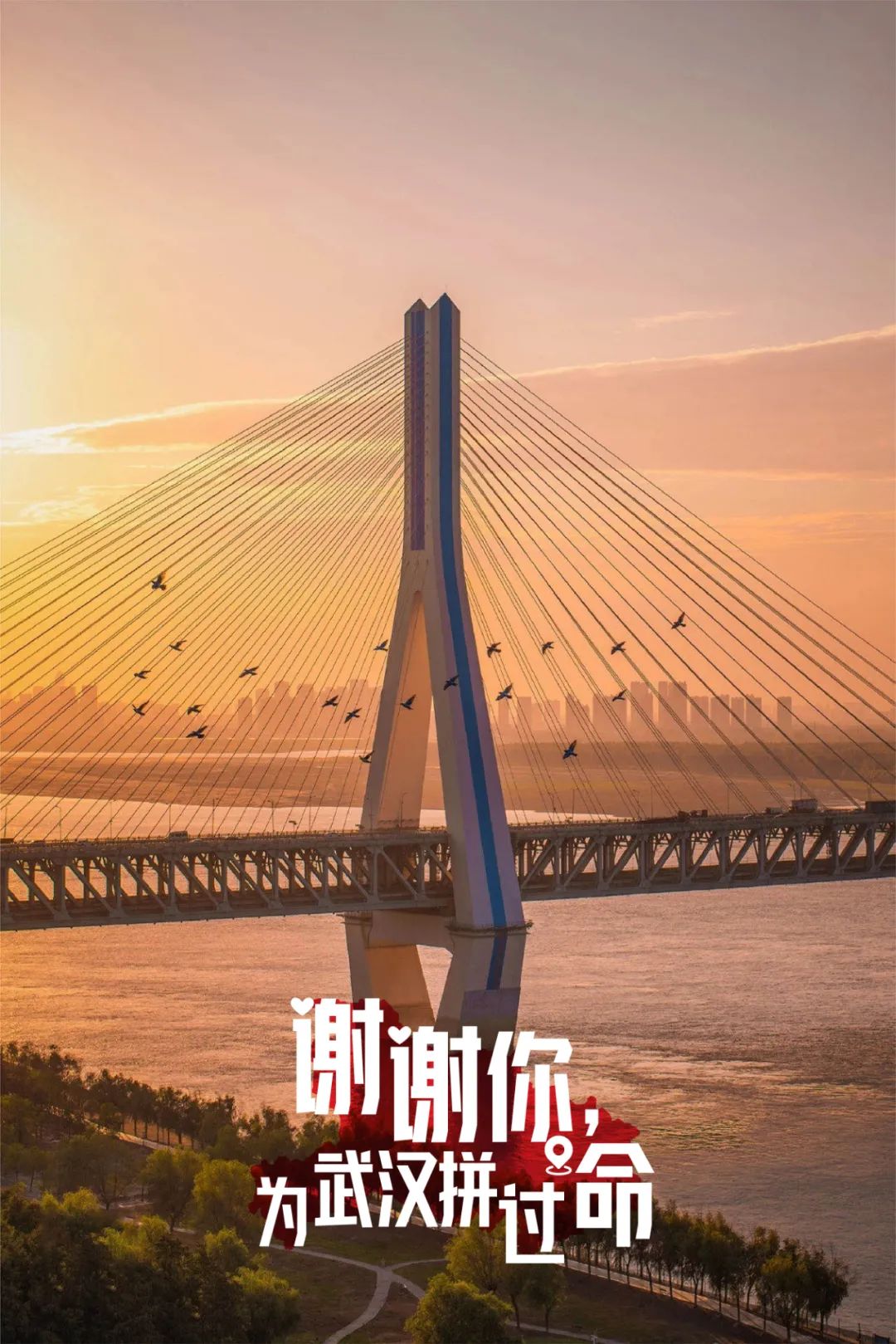 武汉32张感恩海报，对青海医疗队这样说...