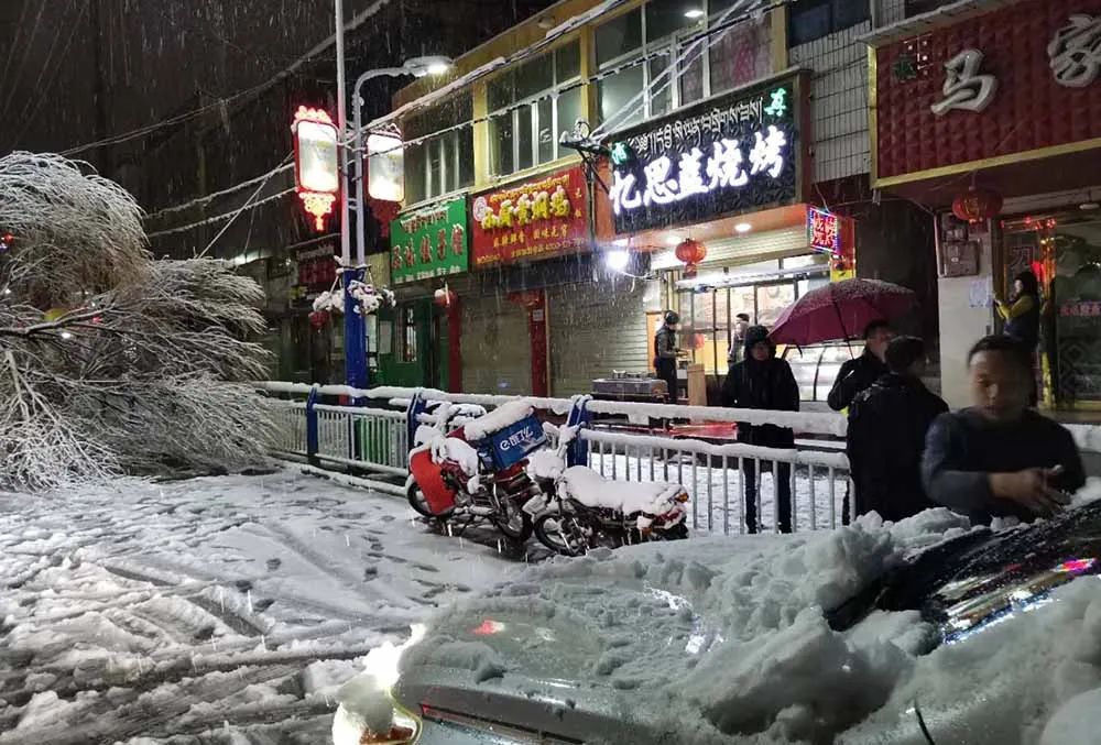 青海贵南县遭遇罕见暴雪！这个地方降下直径4厘米大冰雹...