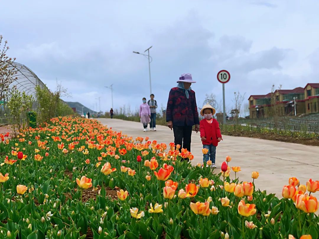 今年，青海建设10个美丽城镇，看看有你家乡吗？