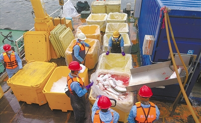 鲑鳟鱼产业：扎根青海放异彩
