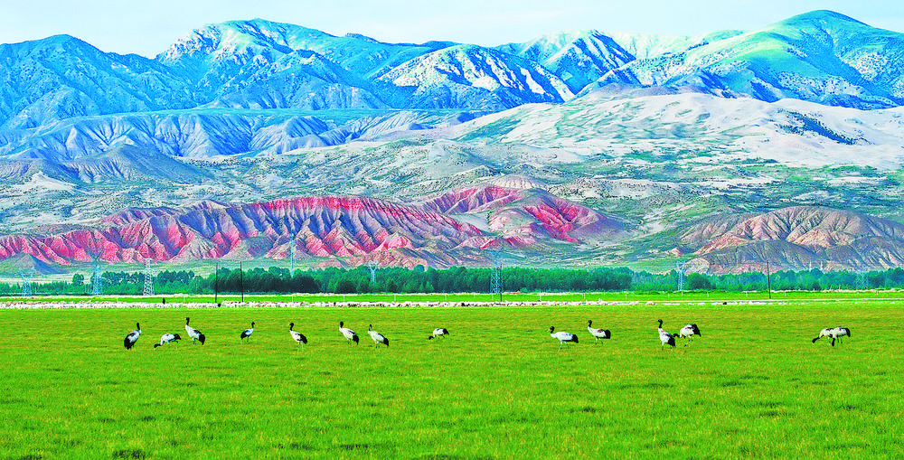 【一路环湖 尽阅大美青海】遇见美丽乌兰 邂逅风光独好