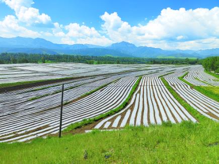打造现代农业“样板”——探访湟中区国家农业现代化示范区建设