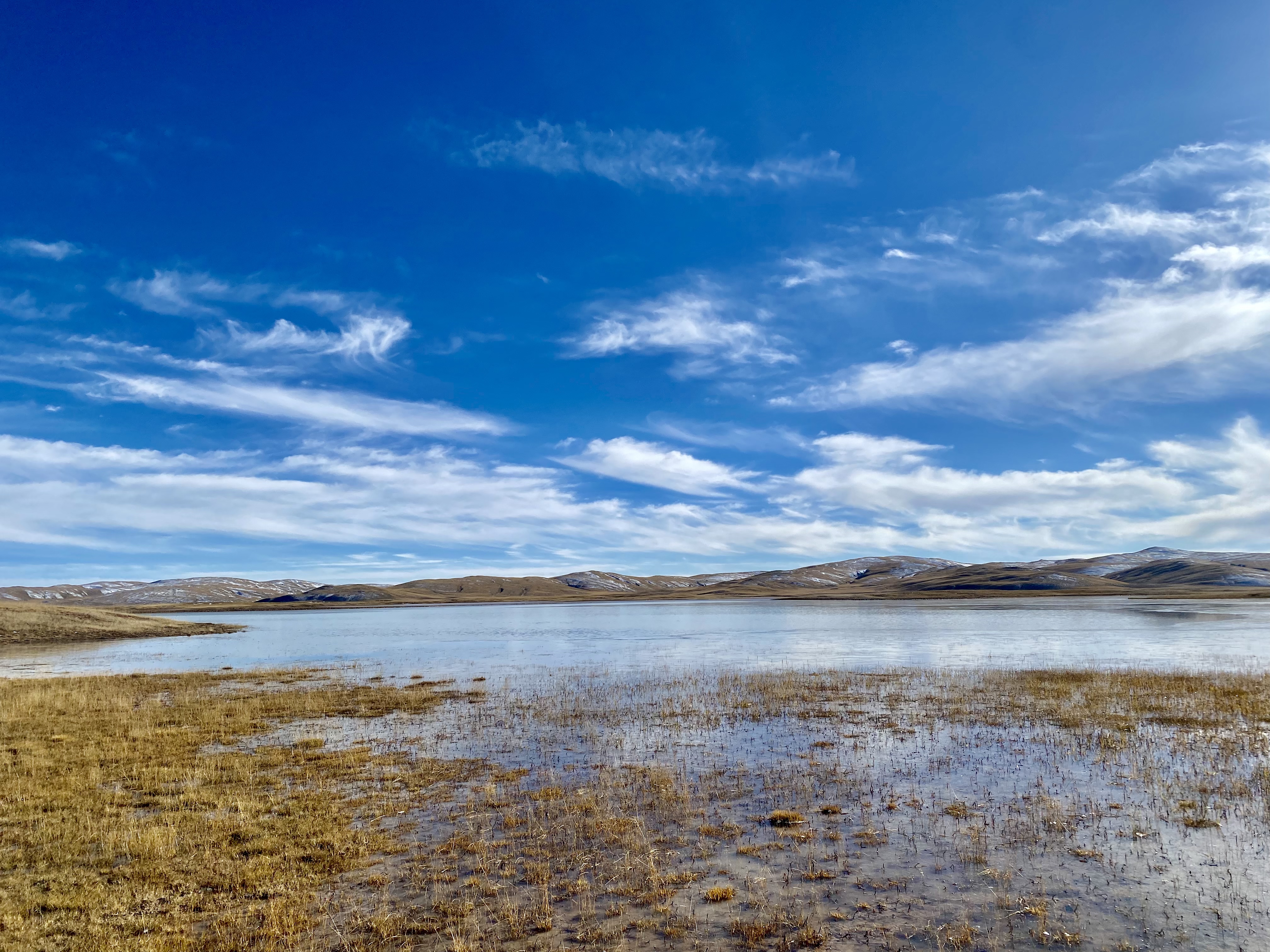 青海玛多：为黄河流域生态保护和高质量发展注入“源头活水”