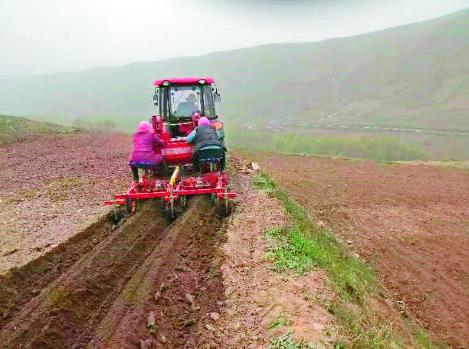 【经济聚焦】青海：高素质农牧民培育带动农牧产业“一路生花”