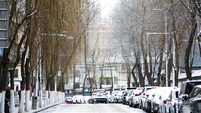西宁雪天里最美最暖的风景